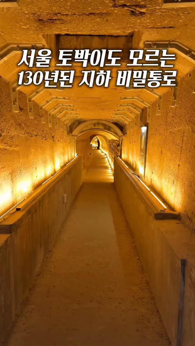 찐캠퍼니 : 여행, 숙소, 데이트, 핫플, 축제, 노량진 지하배수로
