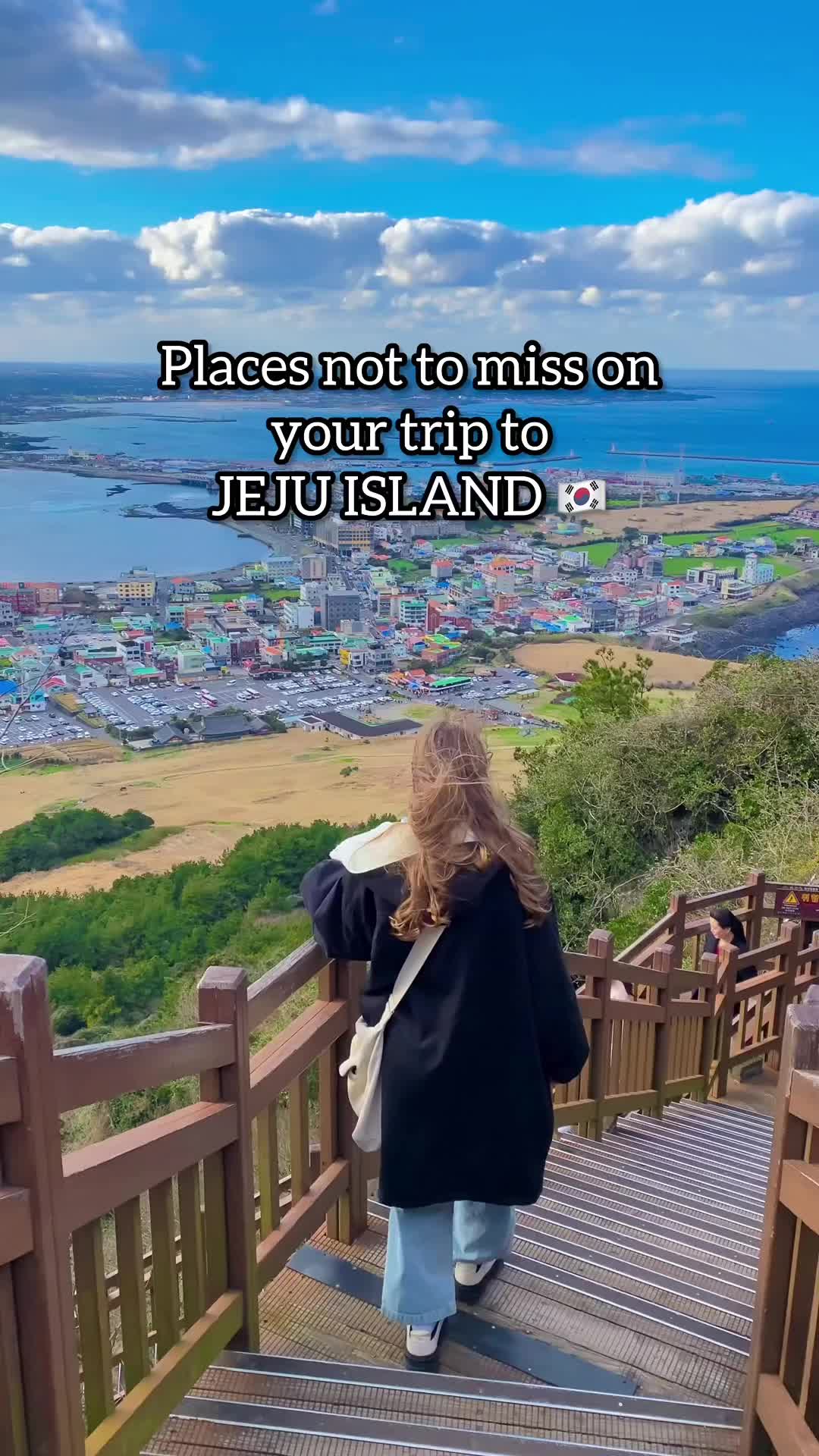 p a l i n d r i🌸, Jusangjeollidae