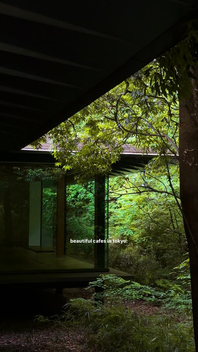 elena joyce | travel & nyc, Meiji Jingu