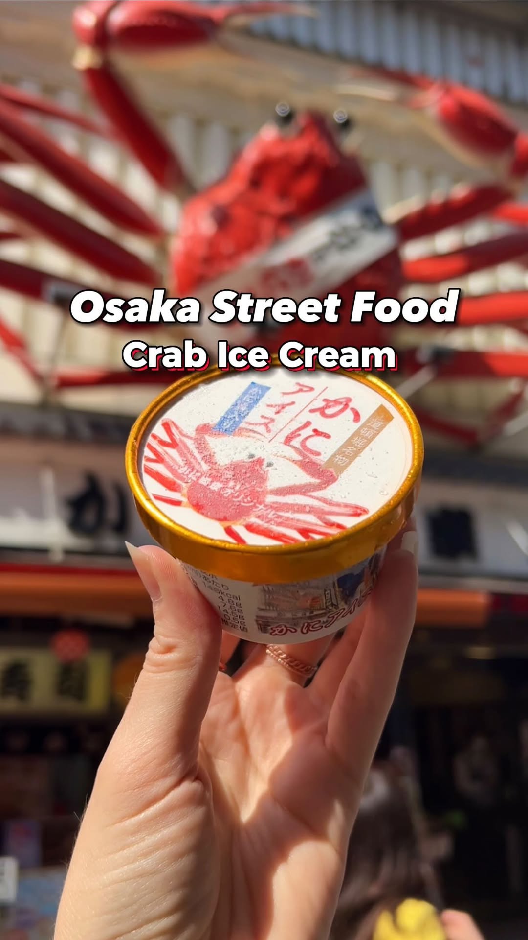 Leanne · Japan Life & Travel, Dotonbori