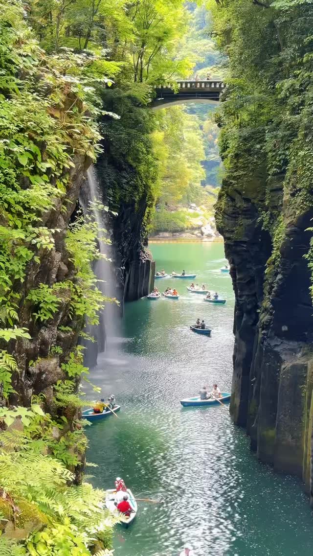 Muthi🌺, Kyushu