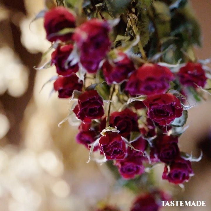 Tastemade Travel, Tokyo