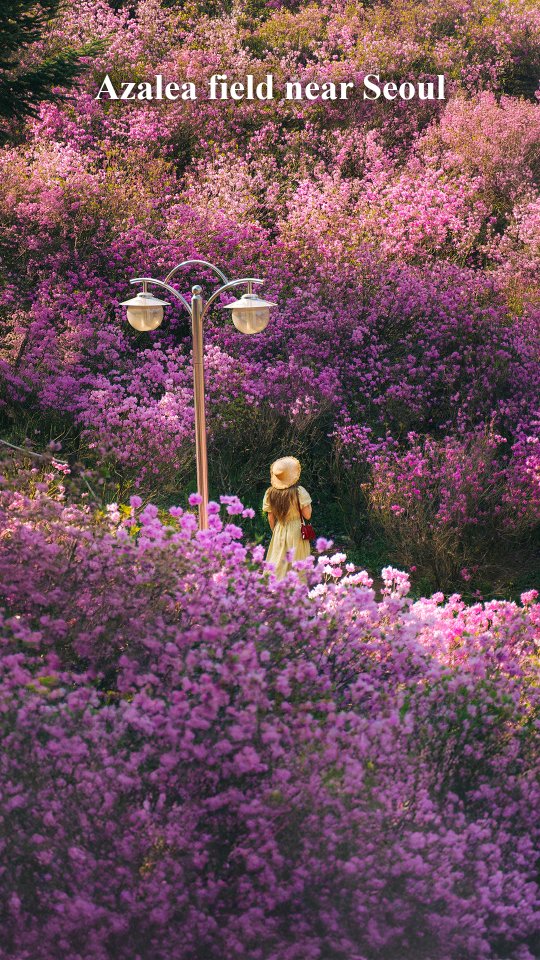 Natalia & Karolina | Travel Content Creators |, Bucheon Wonmi Park