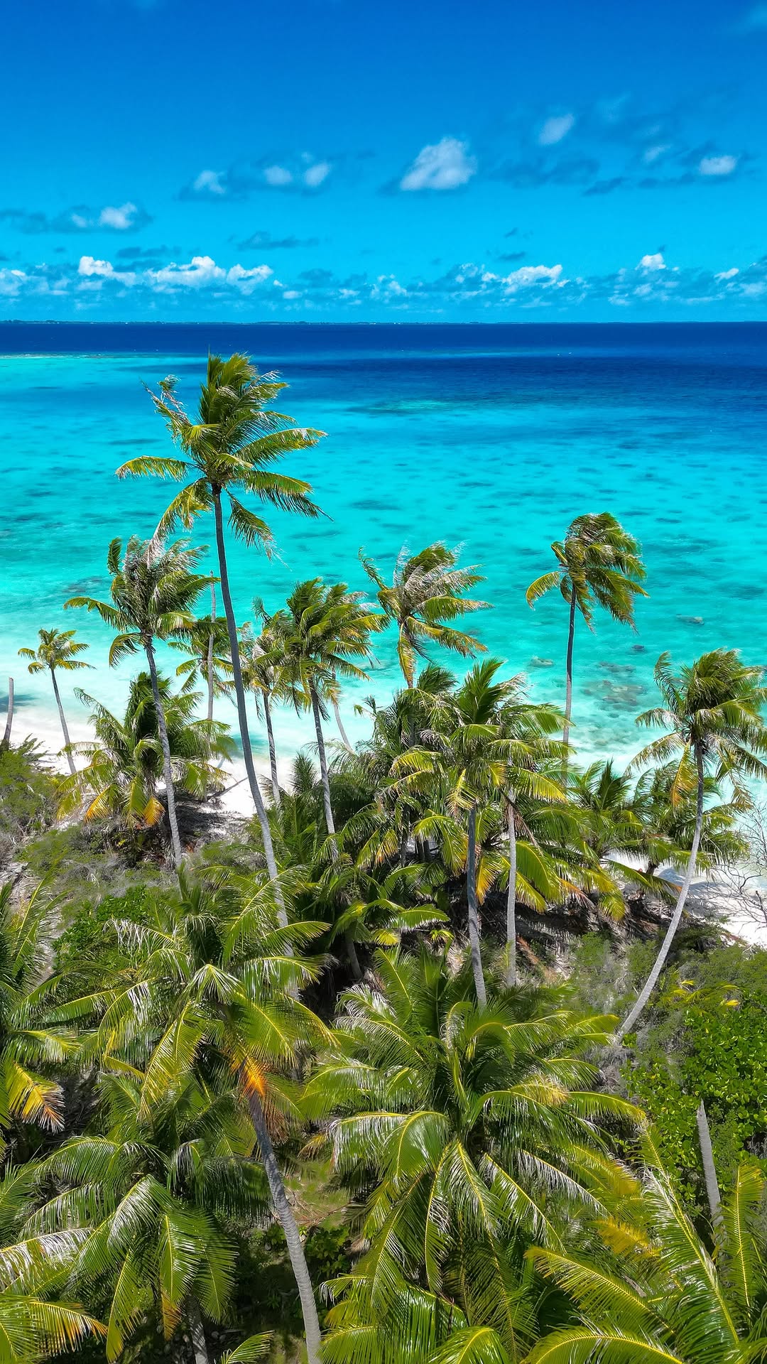 Jenni ☼ travel & hotel content creator, Tahiti