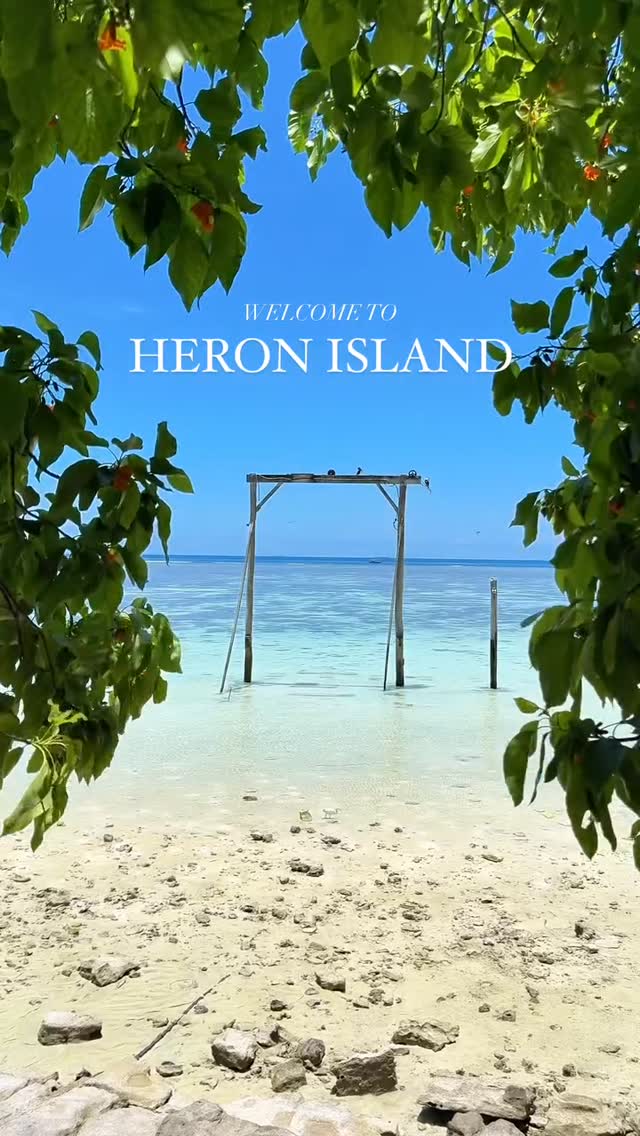 Heron Island, Great Barrier Reef