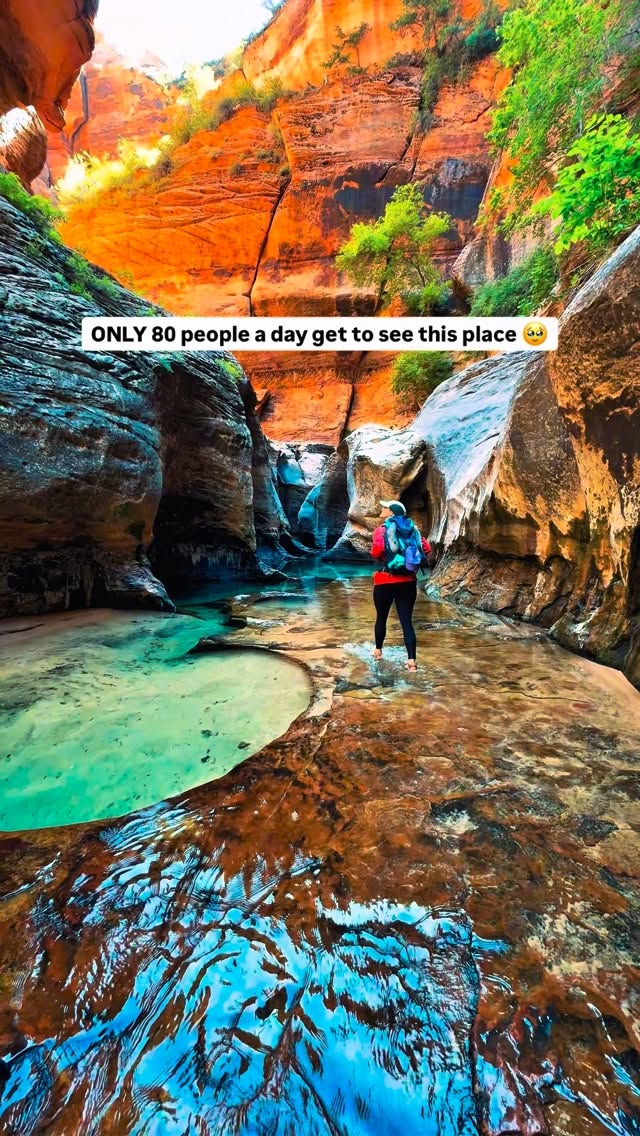 Mallory || Utah, Colorado & Southwest Travel 🧡, Zion National Park