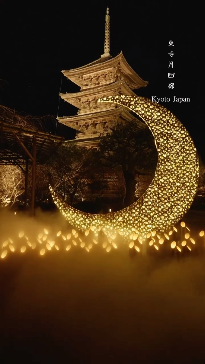 Yuko Narasaki ┊︎ 奈良映像クリエイター, Tōji Temple
