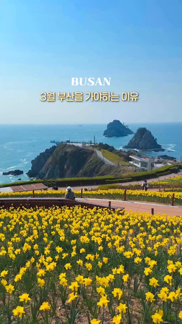 리네 | 여행•카페•공간, Oryukdo Skywalk