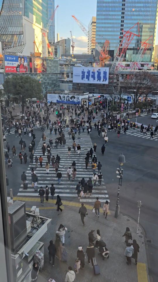 Ian Tanto, Shibuya Scramble Crossing