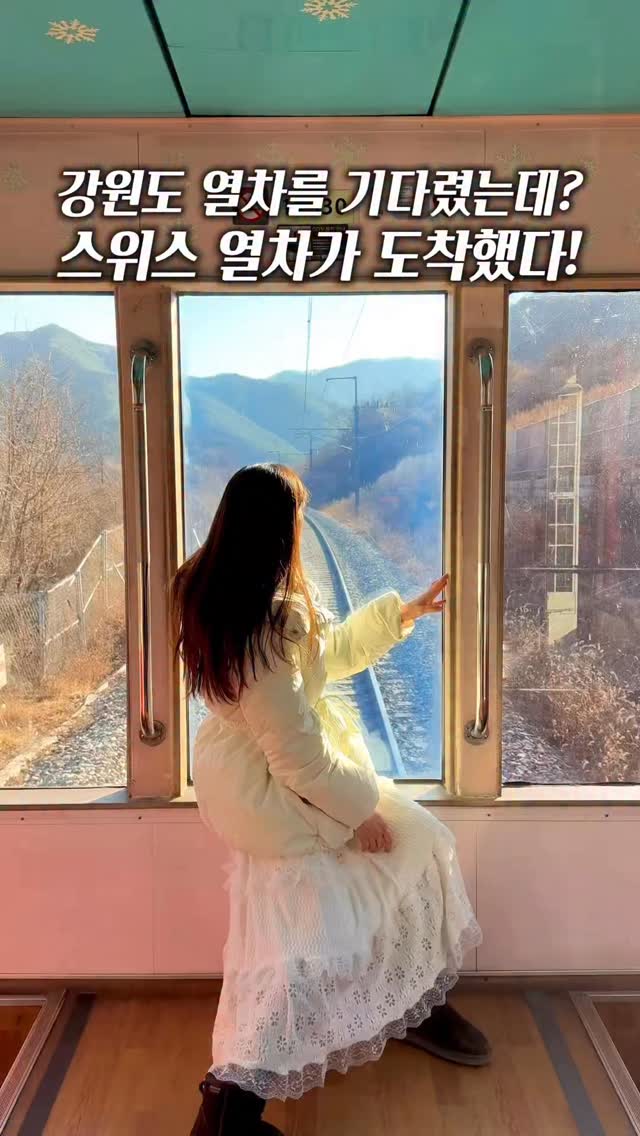 찐캠퍼니 : 여행, 숙소, 데이트, 핫플, 축제, Gangwon-do