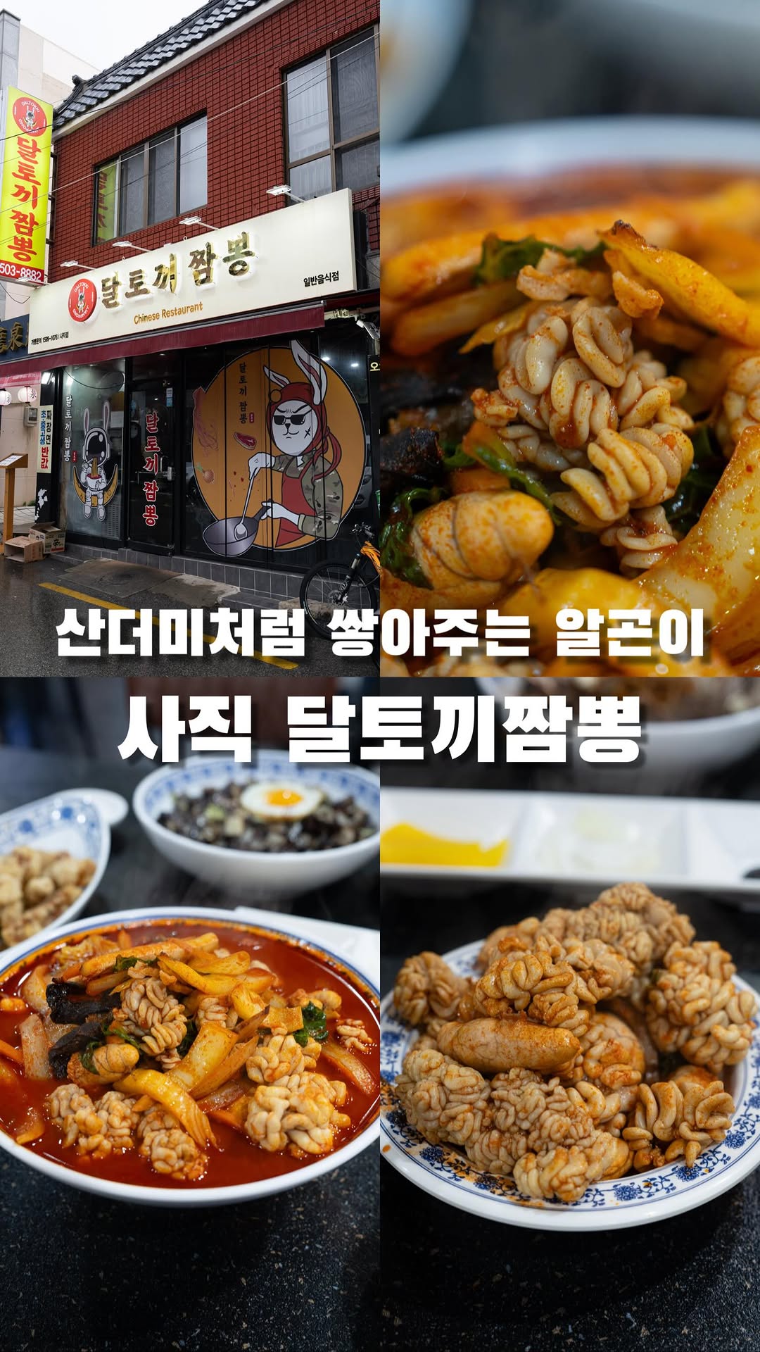 부산랩소디 | Busan Rhapsody | 부산맛집, 달토끼짬뽕 사직점