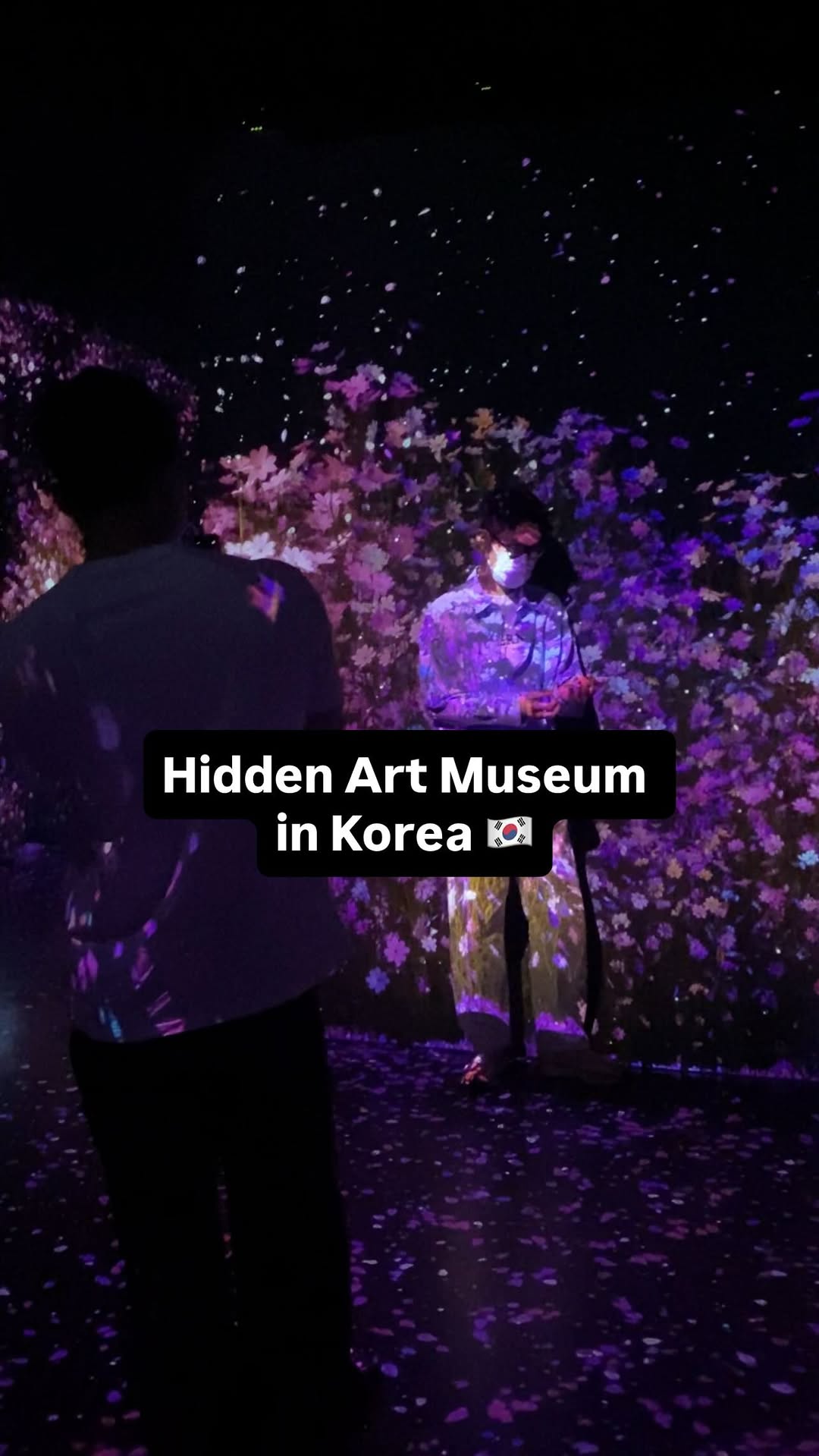 Things to Do in Korea • London • Hidden Gems, Sokcho-si