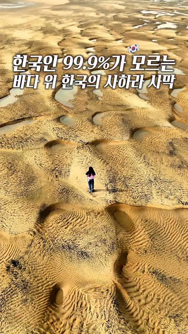 찐캠퍼니 : 여행, 숙소, 데이트, 핫플, 축제, Incheon Port International Passenger Terminal