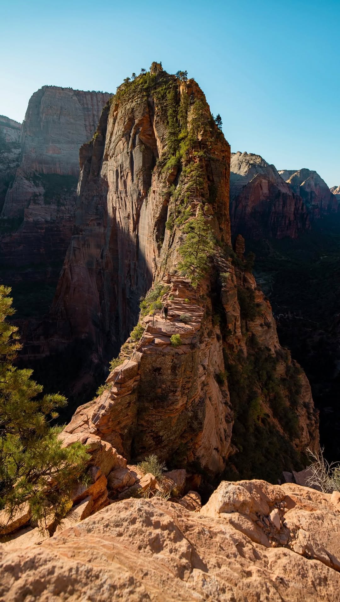 MARK DANIEL & JUDITH MARIA, Zion National Park