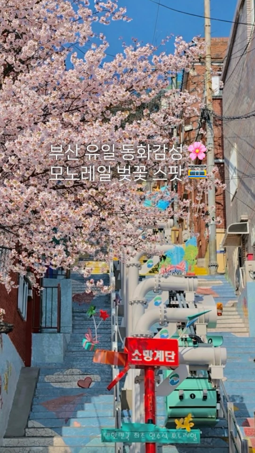 선화ㅣ부산핫플•카페•여행•데이트, 닥밭골 벽화마을