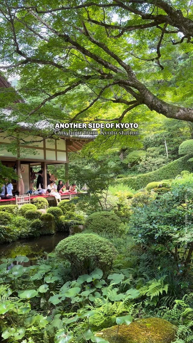 Mari 🇮🇹 • Japan Travel, Sanzen-in Temple