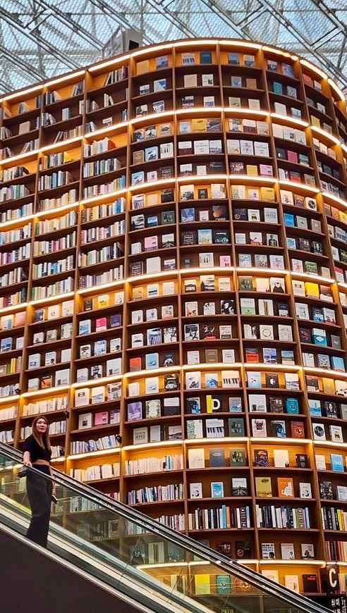 Christina DiFerdinando | Luxury Travel, Myeong-dong