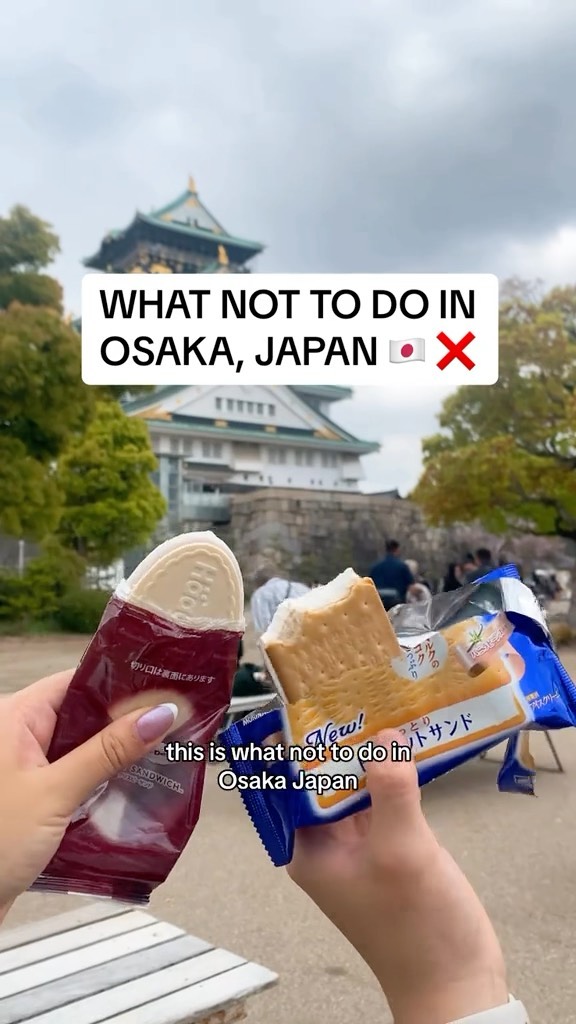 grace cheng ✨, Osaka Castle