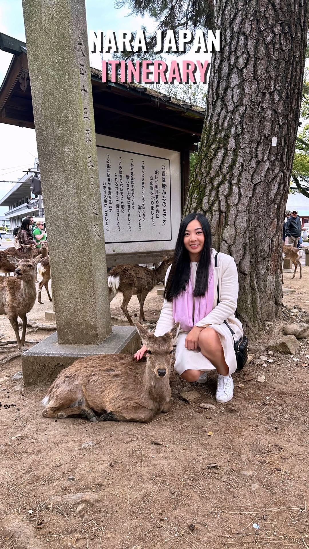 Karen Explores 🤍, Nara Park