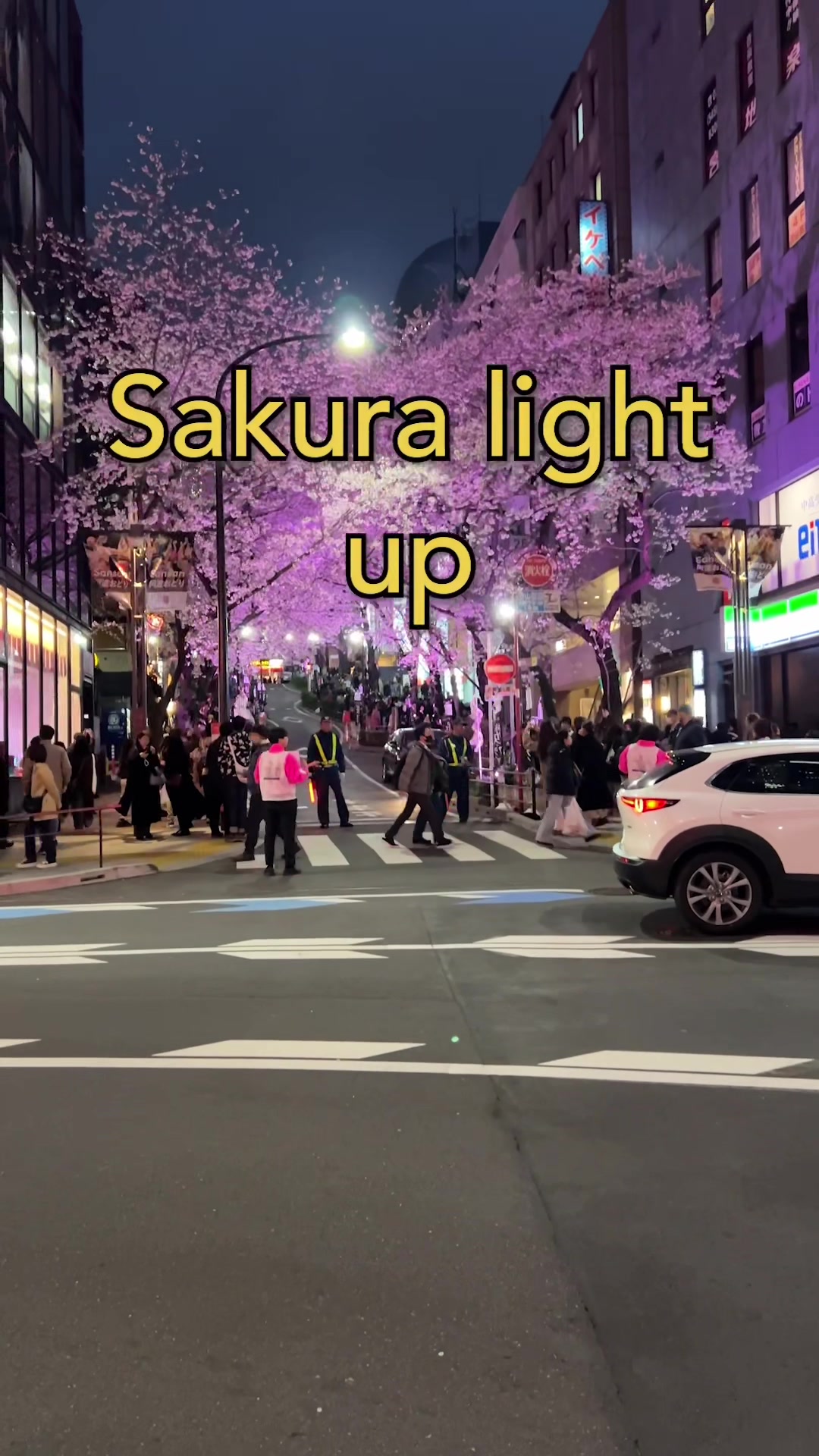 thattravelguy, Shibuya Scramble Crossing