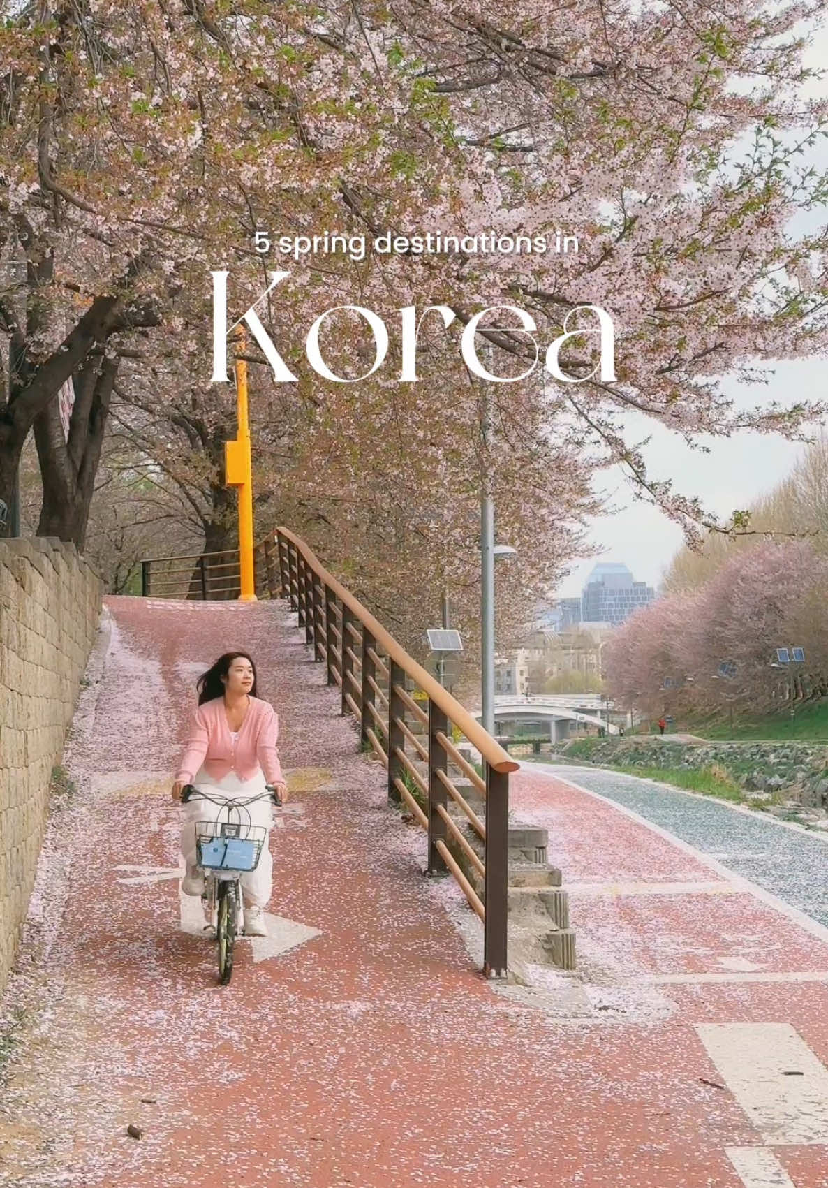 cicicindy, Yeojwacheon River