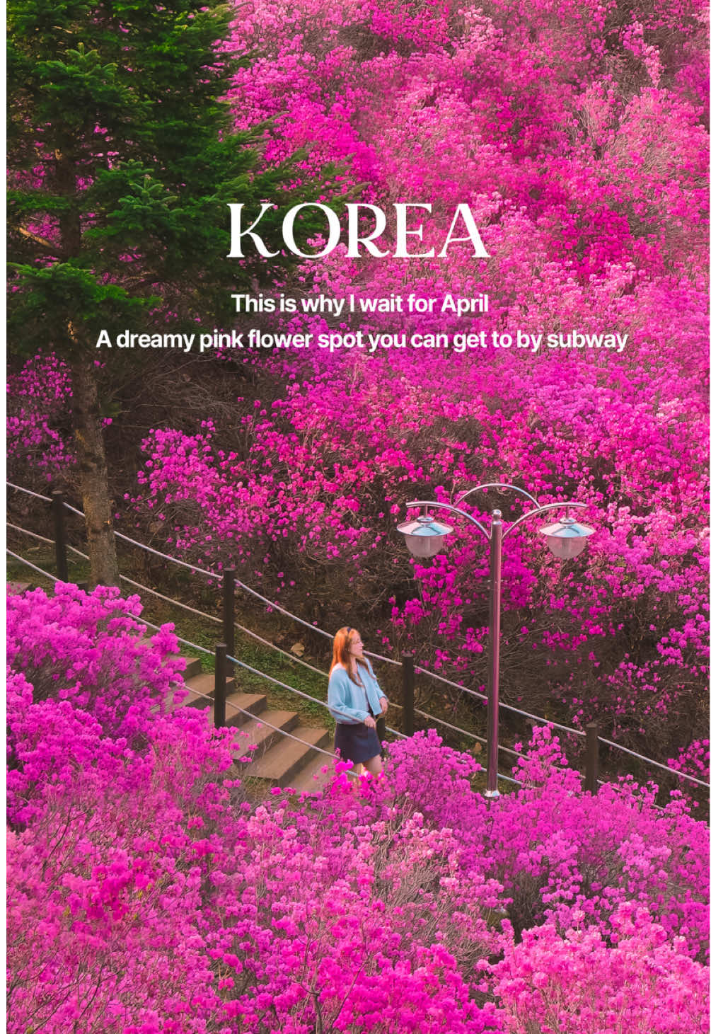 훵 - Hwung_travel🇰🇷, Wonmisan