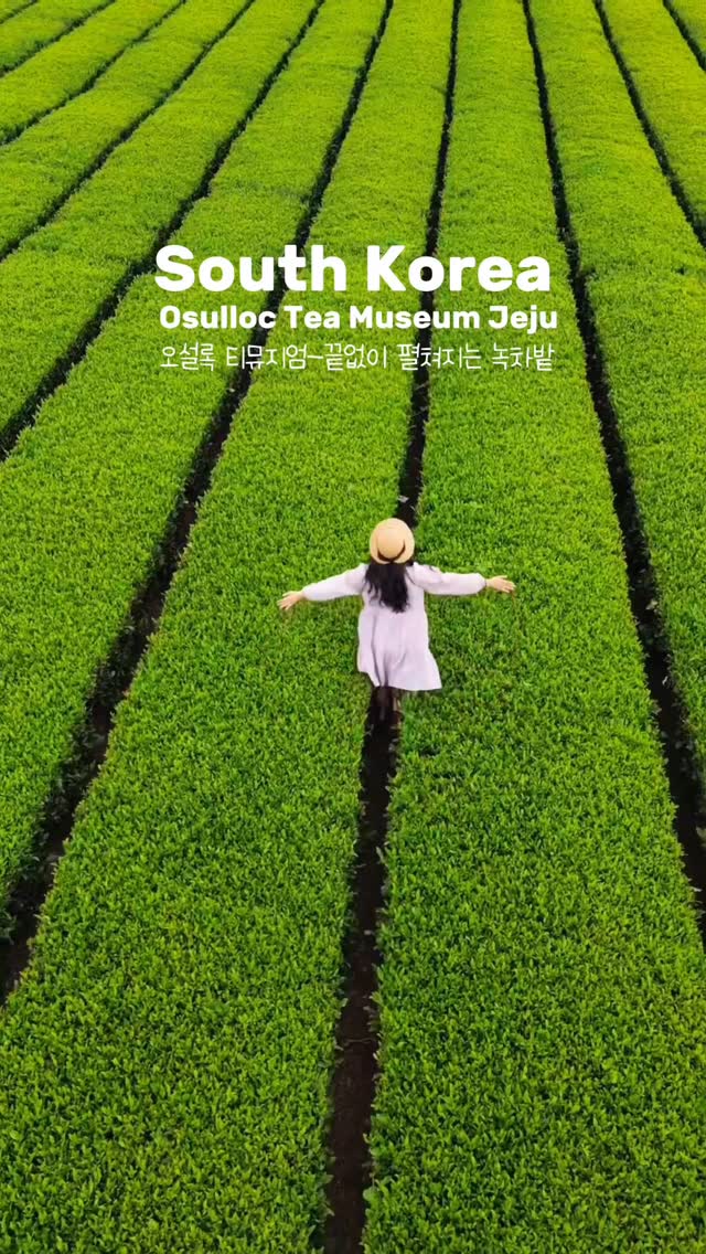 Hristo Georgiev, Osulloc Tea Museum