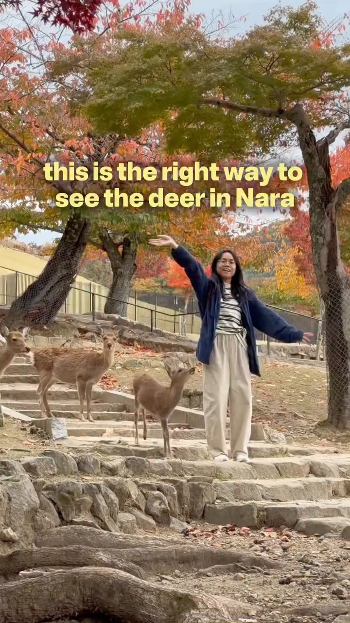 Gia Let’s Travel | Giashin, Tōdai-ji