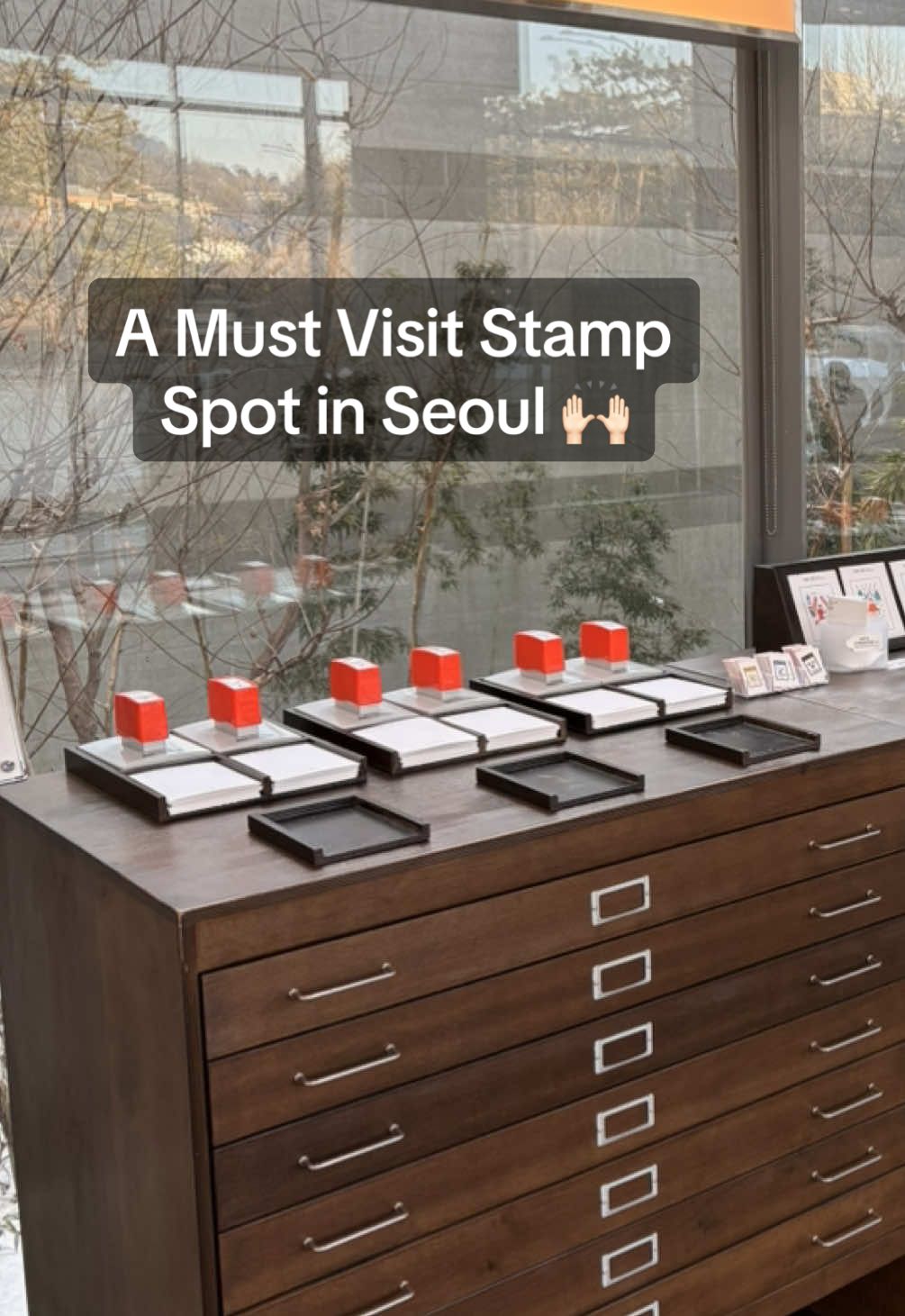 Vicki, Seogwipo-si
