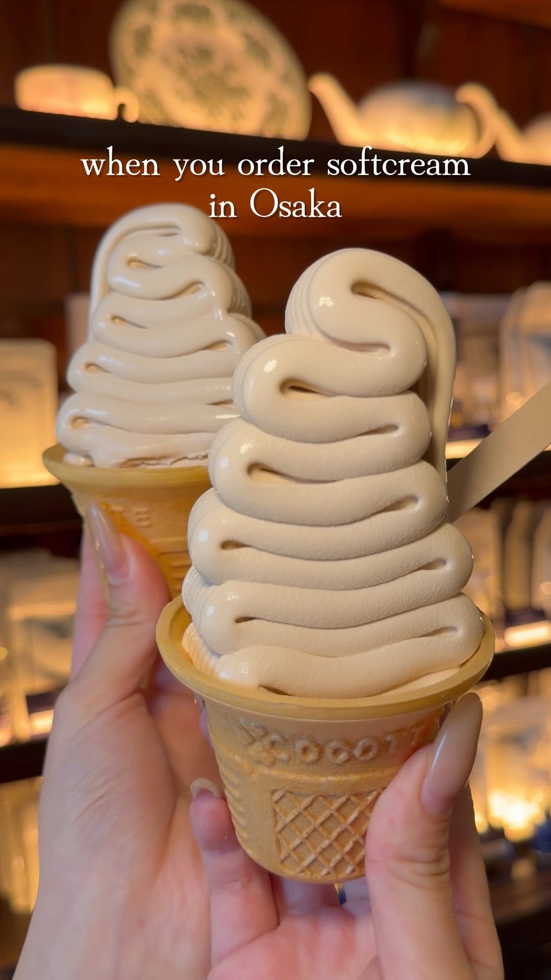 JAPAN FOOD MAP, Arashiyama