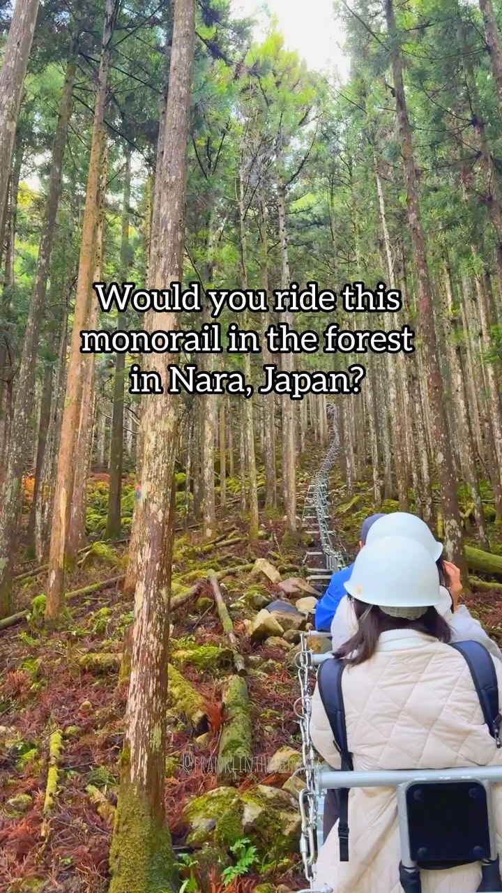 Frankie フランキー | Japan Life & Travel, Goyomatsu Limestone Cave Monorail