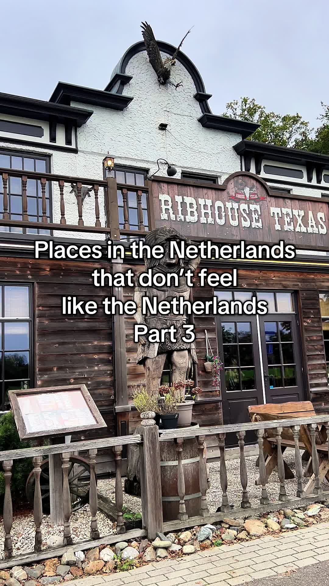 Dutch Favourites, Pantropica (voorheen de Orchideeën Hoeve)
