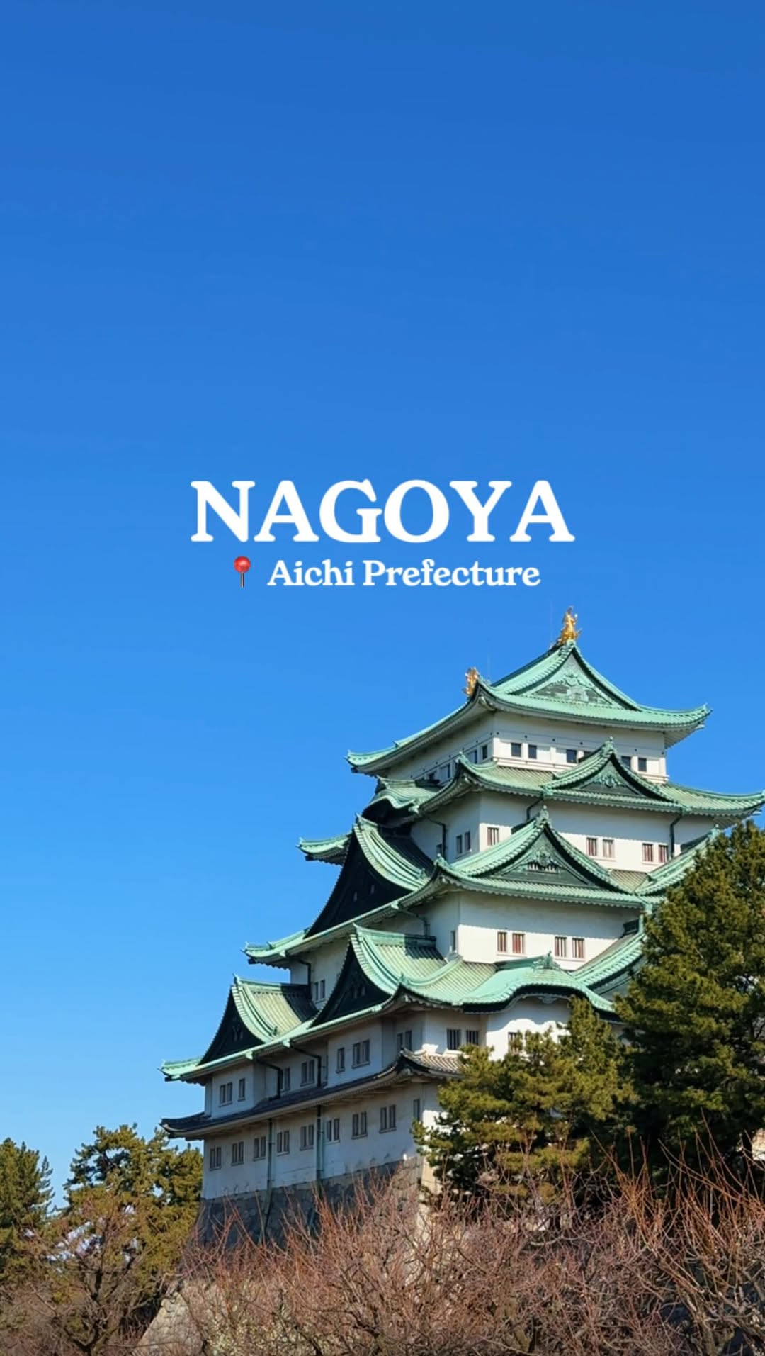 Andre Carrillo 柯穎安, Nagoya Castle