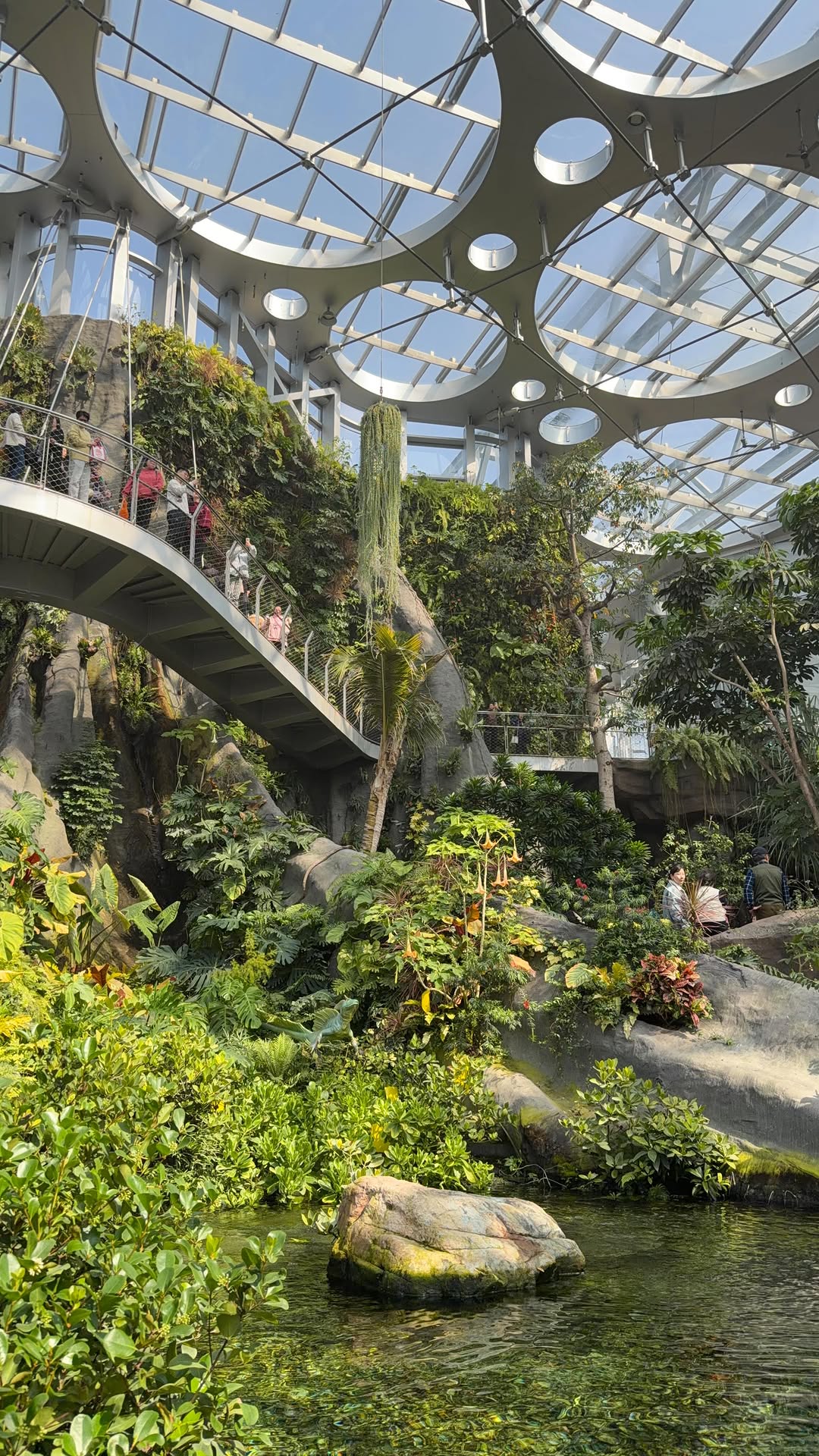 Maddie (Macerly) Borge, Shanghai Botanical Garden