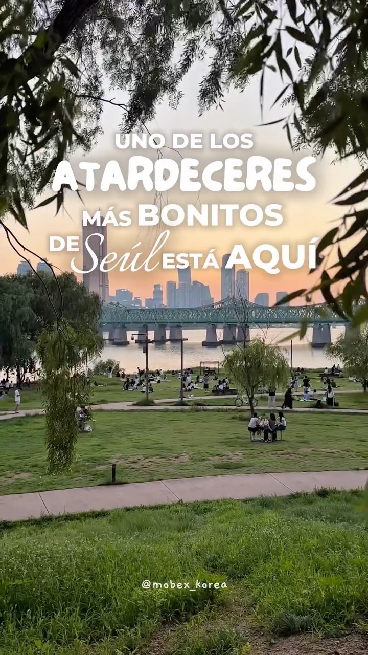 Mobex Korea | Experiencias y viajes en Corea del Sur, Yeouido Hangang Park