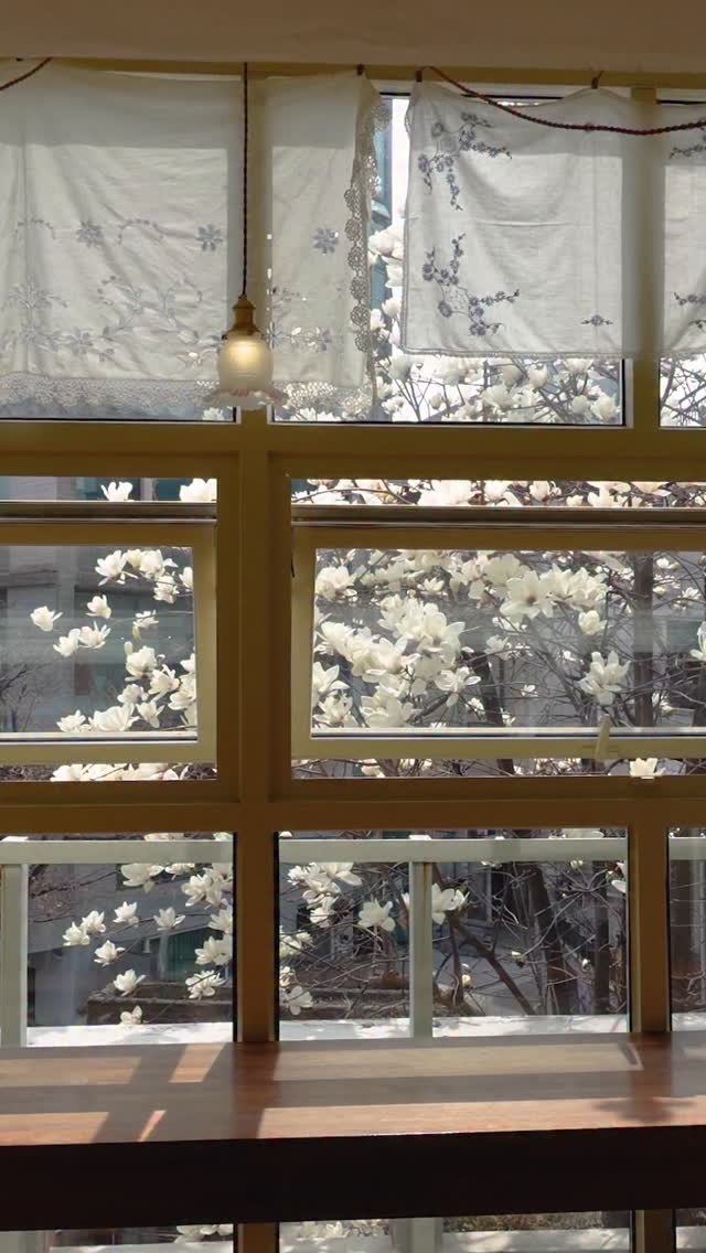 코리코 카페, Koriko Cafe