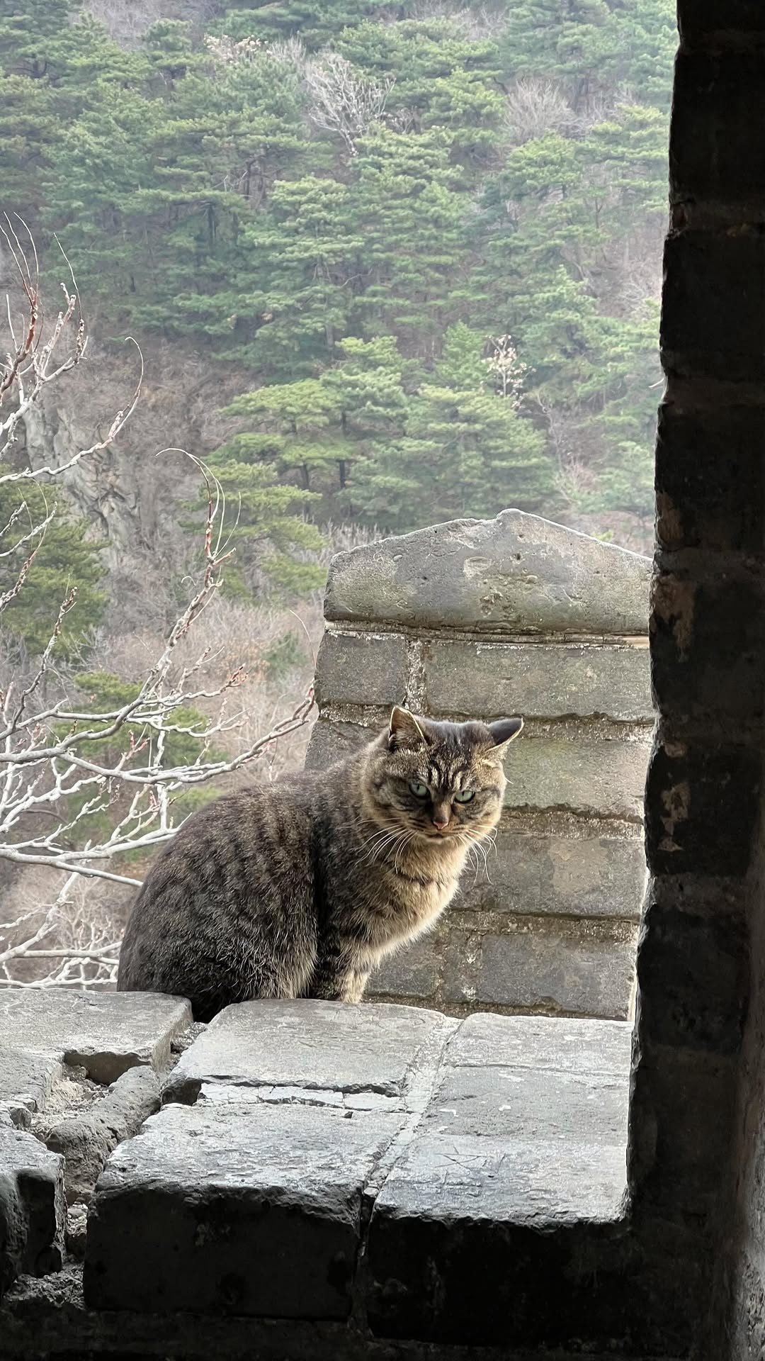 Цокушка | твой любимый блогер 📍, Great Wall of China
