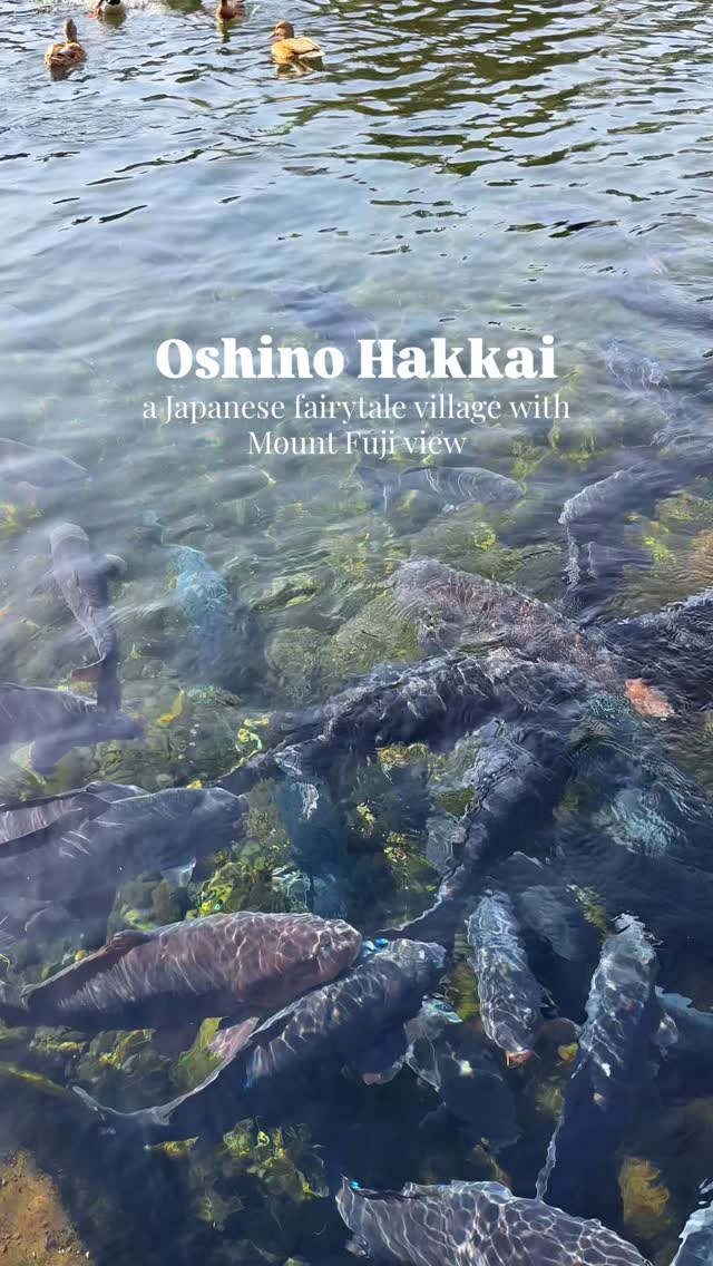 Zeynep |  ✈ Travel Tips & Stories, Mount Fuji