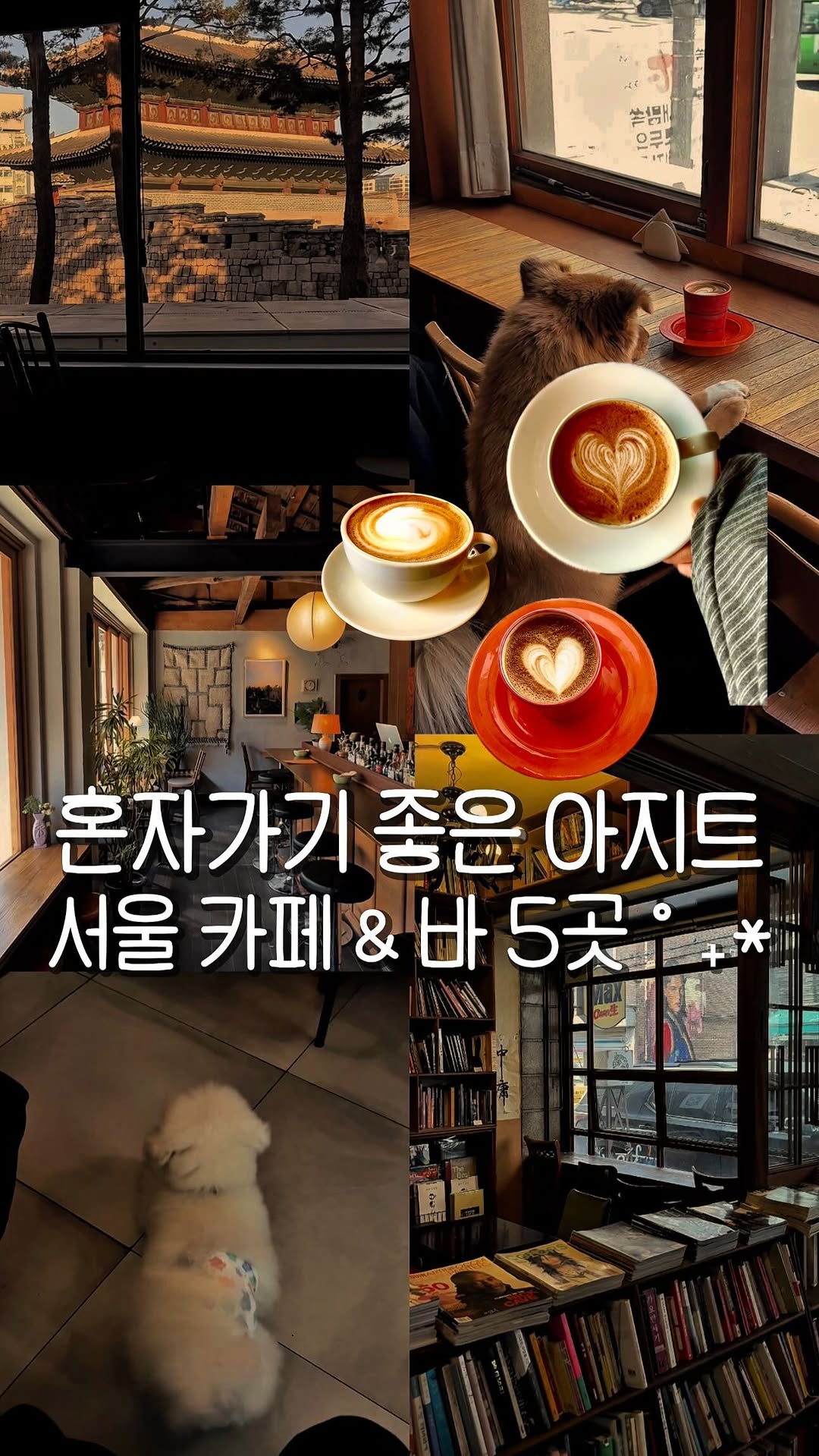 네모 ▫️ 카페  공간  맛집, 오오비 oob