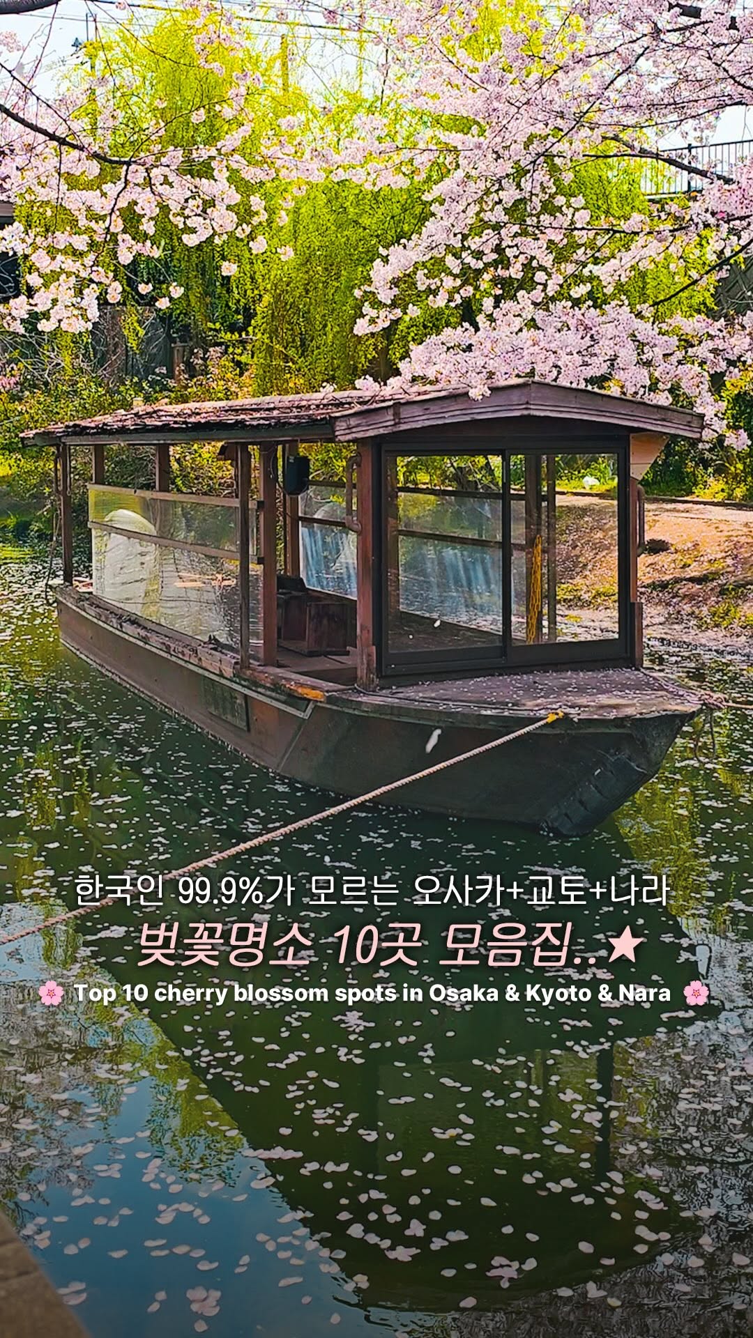 시은 | 서울 팝업 가챠 오사카 후쿠오카 나고야, Kiyomizu-dera