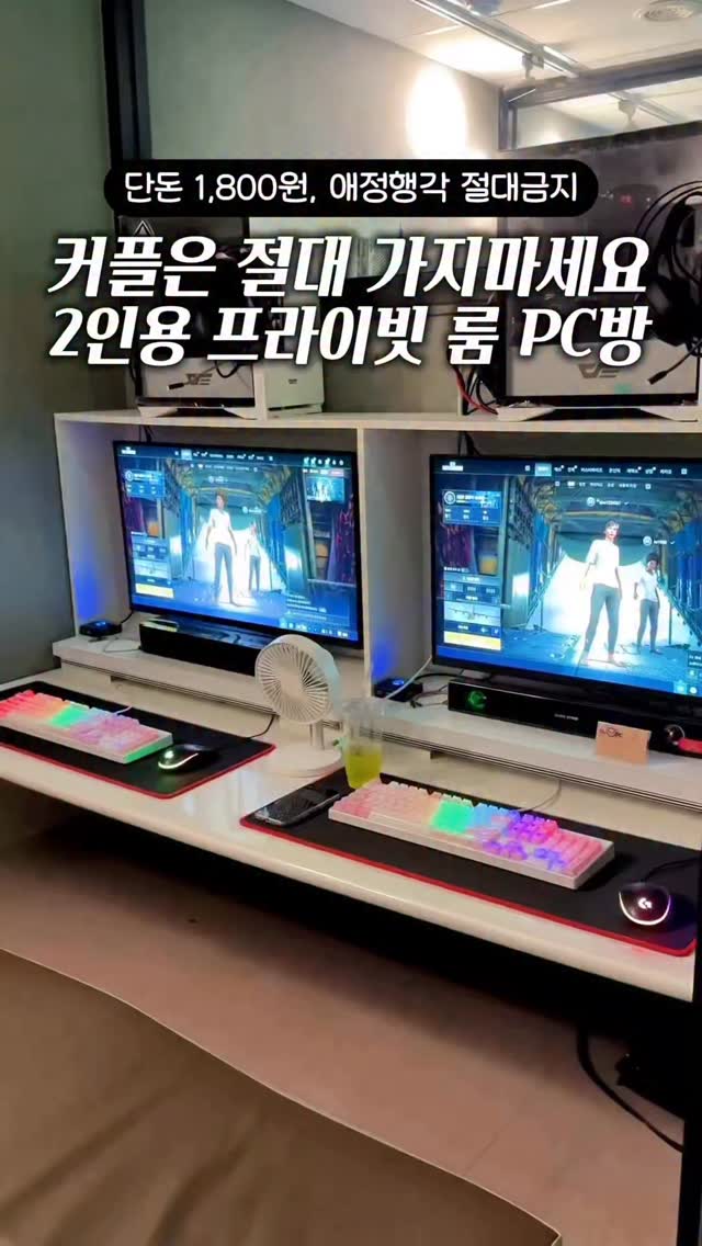 찐캠퍼니 : 여행, 숙소, 데이트, 핫플, 축제, 곰팅이PC방