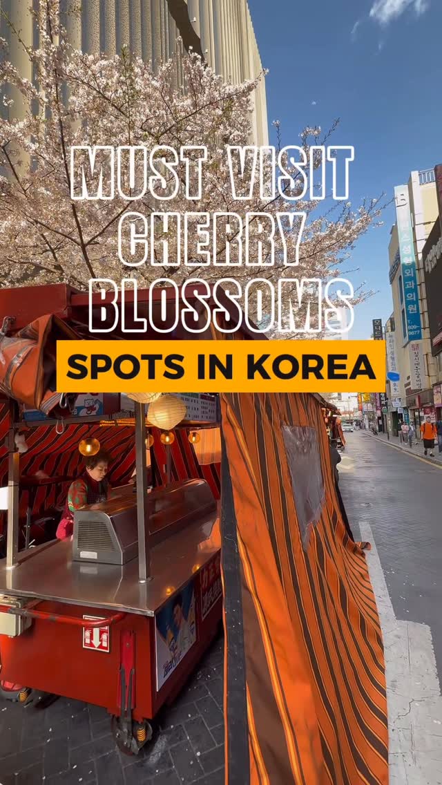 Angela Unnie in Korea | Content Creator, Stairs of Wishes, Somang Stairs Monorail
