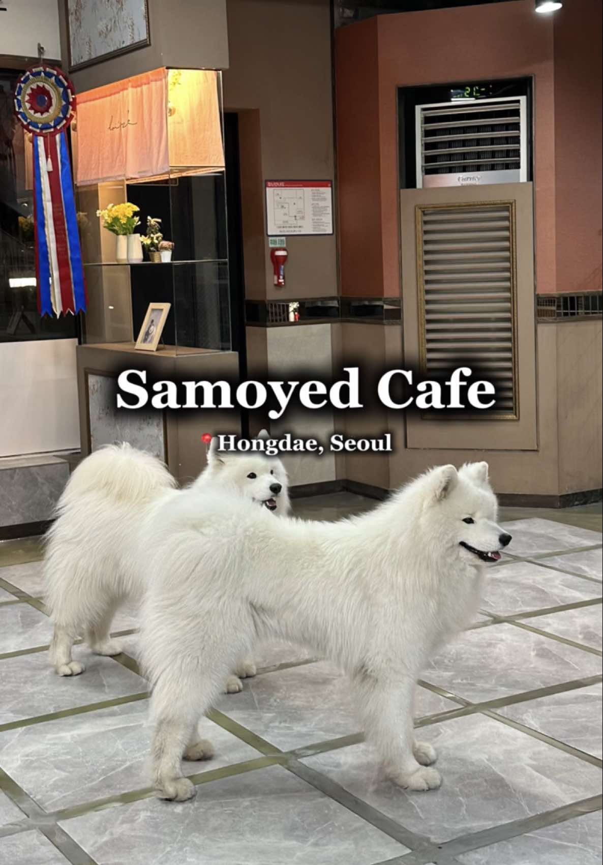 dami :), Thanks Nature Cafe