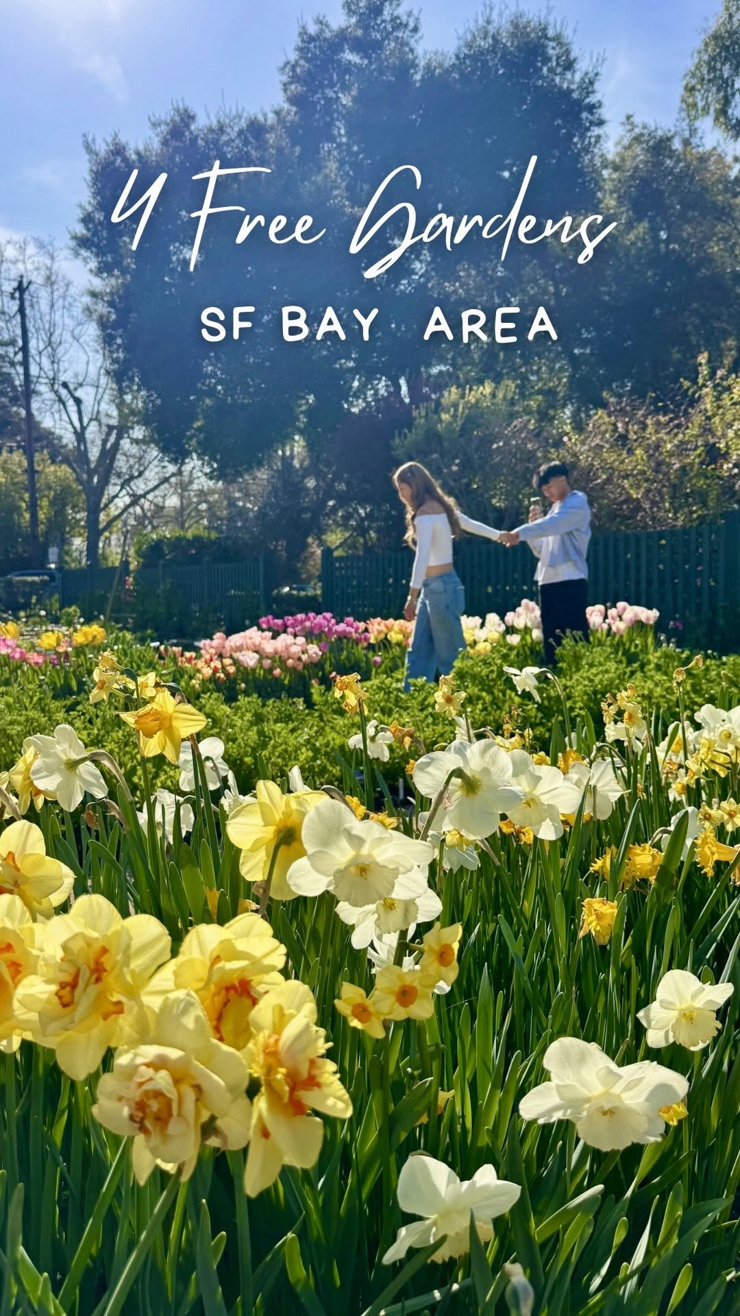 Manni | Travel | San Francisco | Bay Area, Municipal Rose Garden