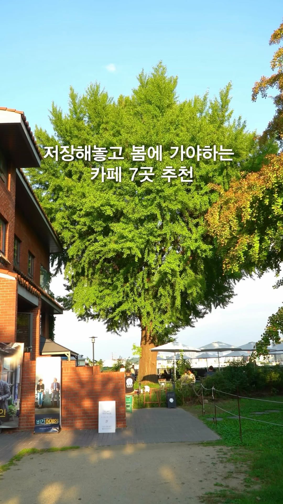 옵션에이치 | 카페 맛집 숙소 전시 🍀, S.CAF