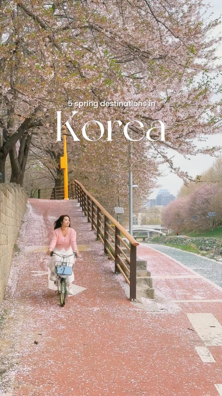 𝐂𝐢𝐧𝐝𝐲🌼, Yeojwacheon River