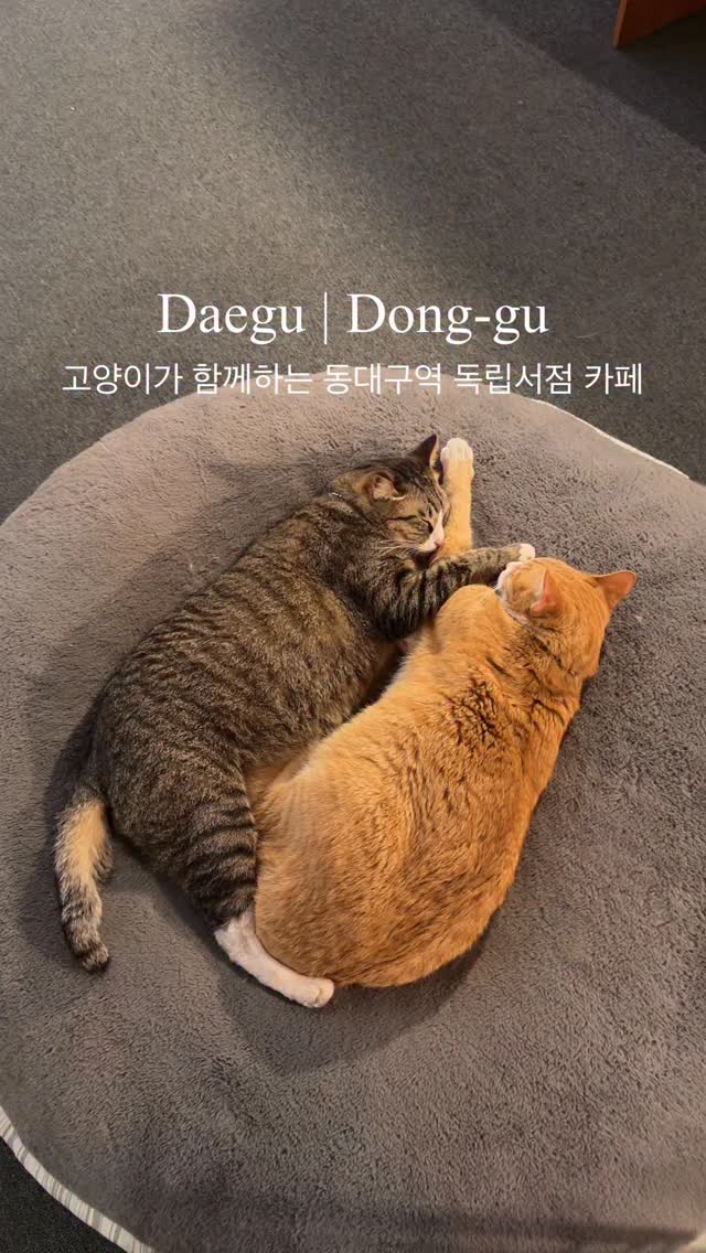 또또 ✺ 대구카페 대구신상카페 대구맛집 대구팝업 대구핫플 대구데이트, Dongdaegu