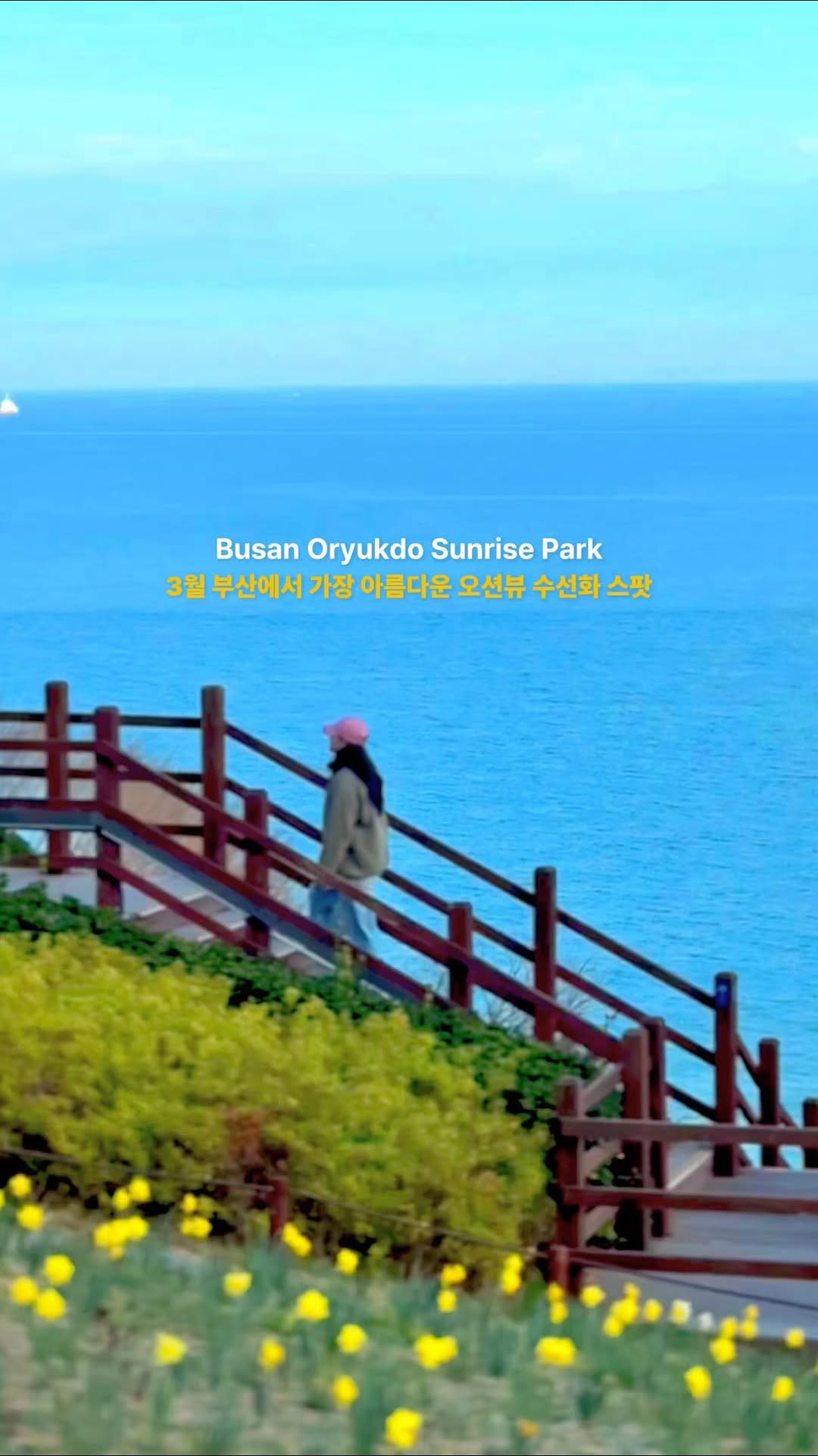 채채 | 여행 팝업 캠핑, Oryukdo Skywalk