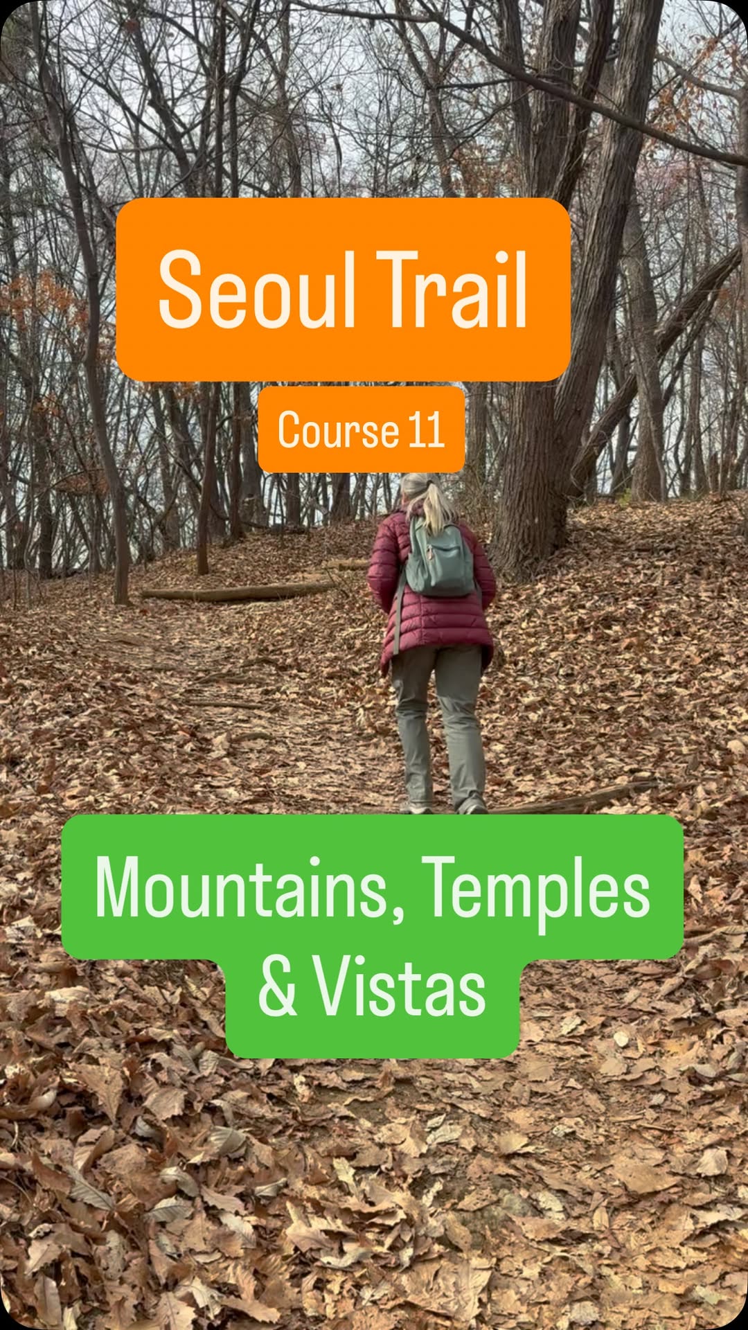 Daniele/Expat Travel Vlogger, N Seoul Tower
