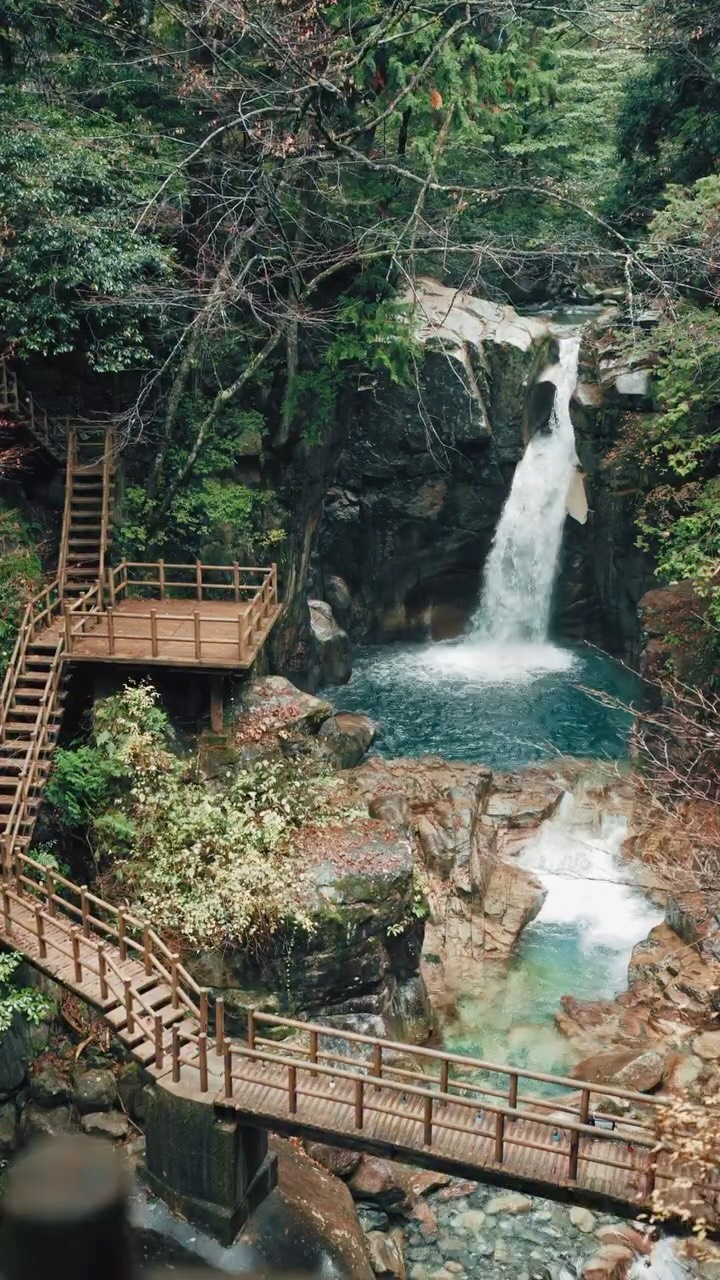 HOWELL / ハウエル, Nara